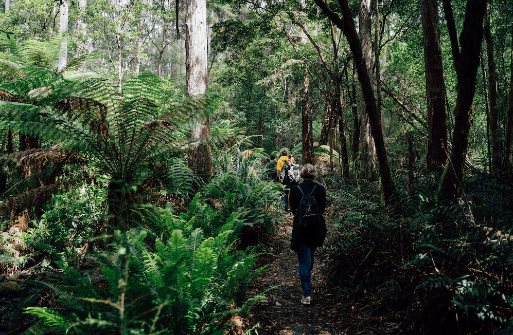 Bruny Island Premium Wine: Australia's southernmost vineyard