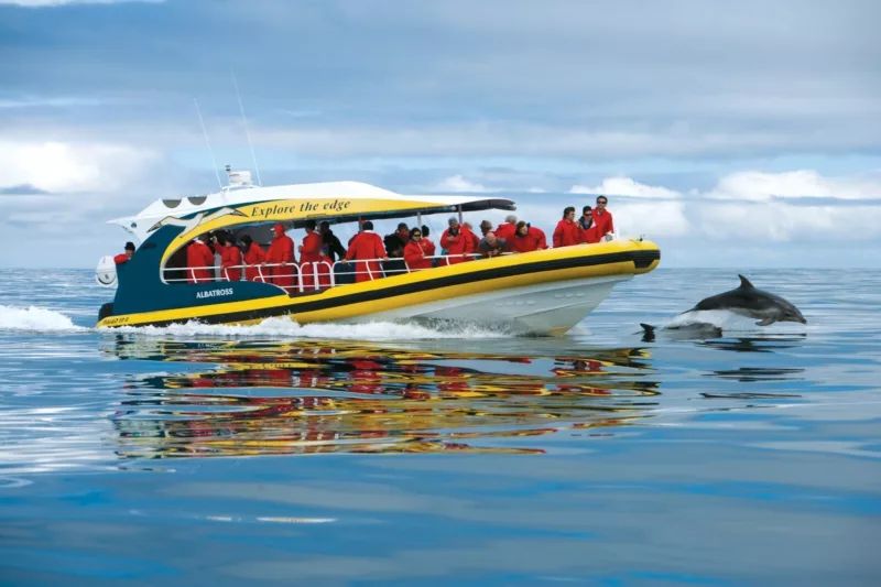 Bruny Island Cruises