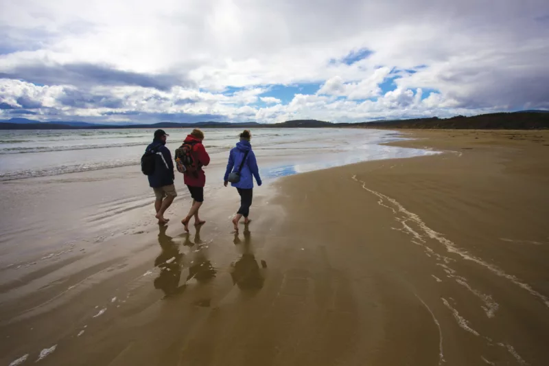 Three tourists walk on the beach