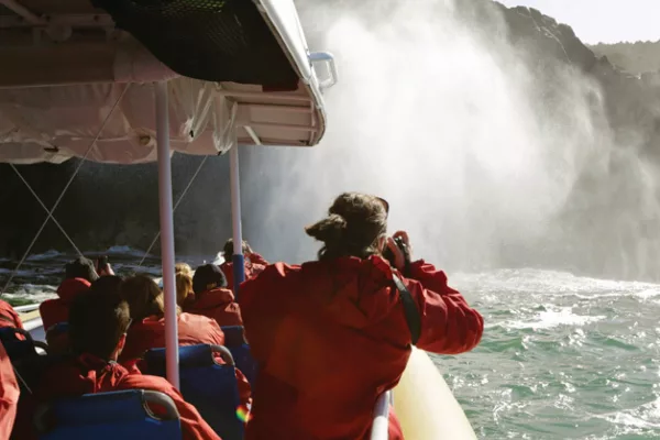 Tours and packages