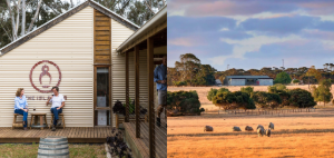 Islander Estate & Springs Road Wines