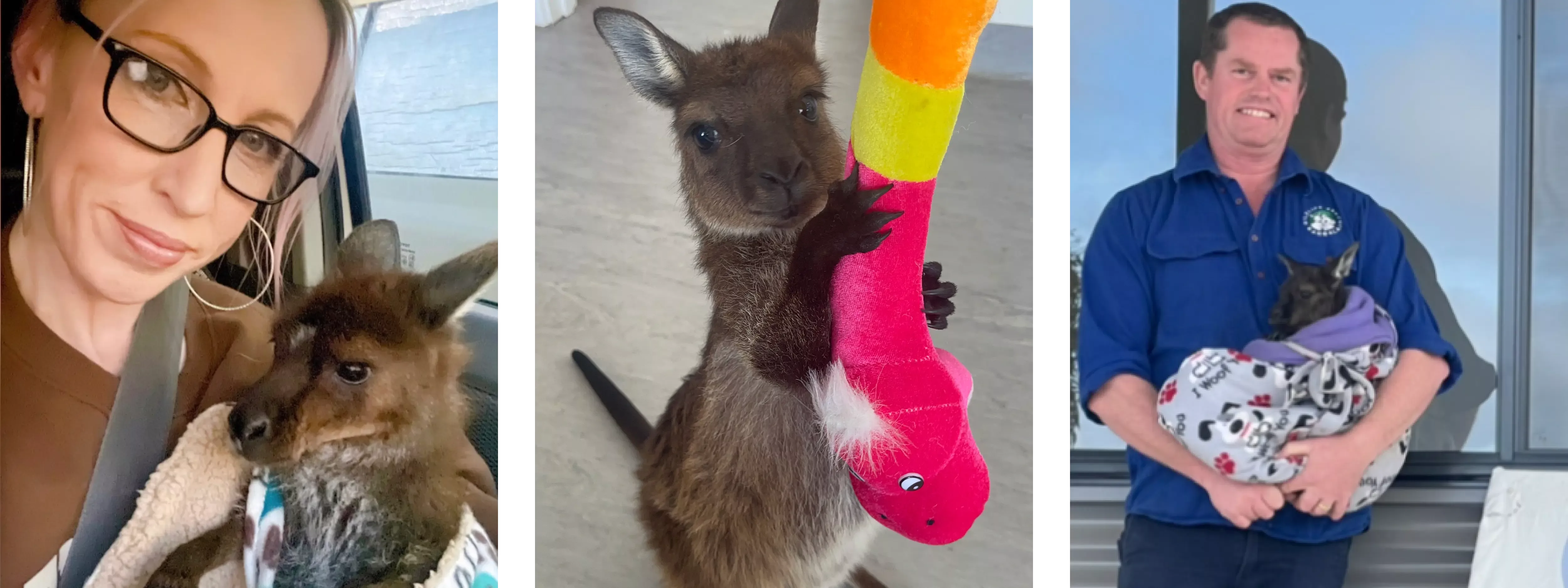 Kangala-Rescue- updated