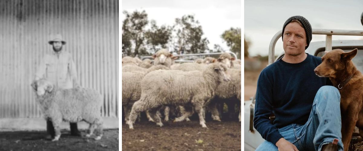 Kangaroo Island Wool