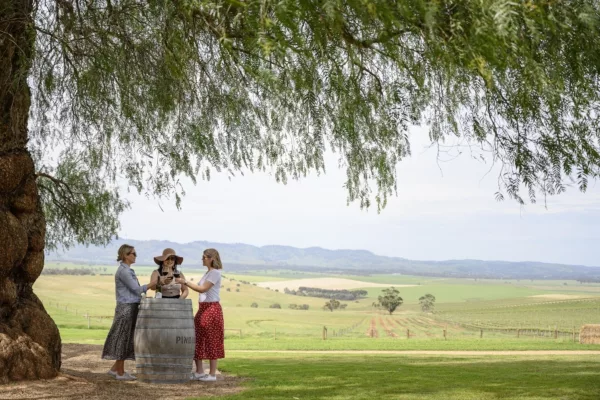 three ladies standing around a wine barrel under a tree with a view of vineyards and hills in the background