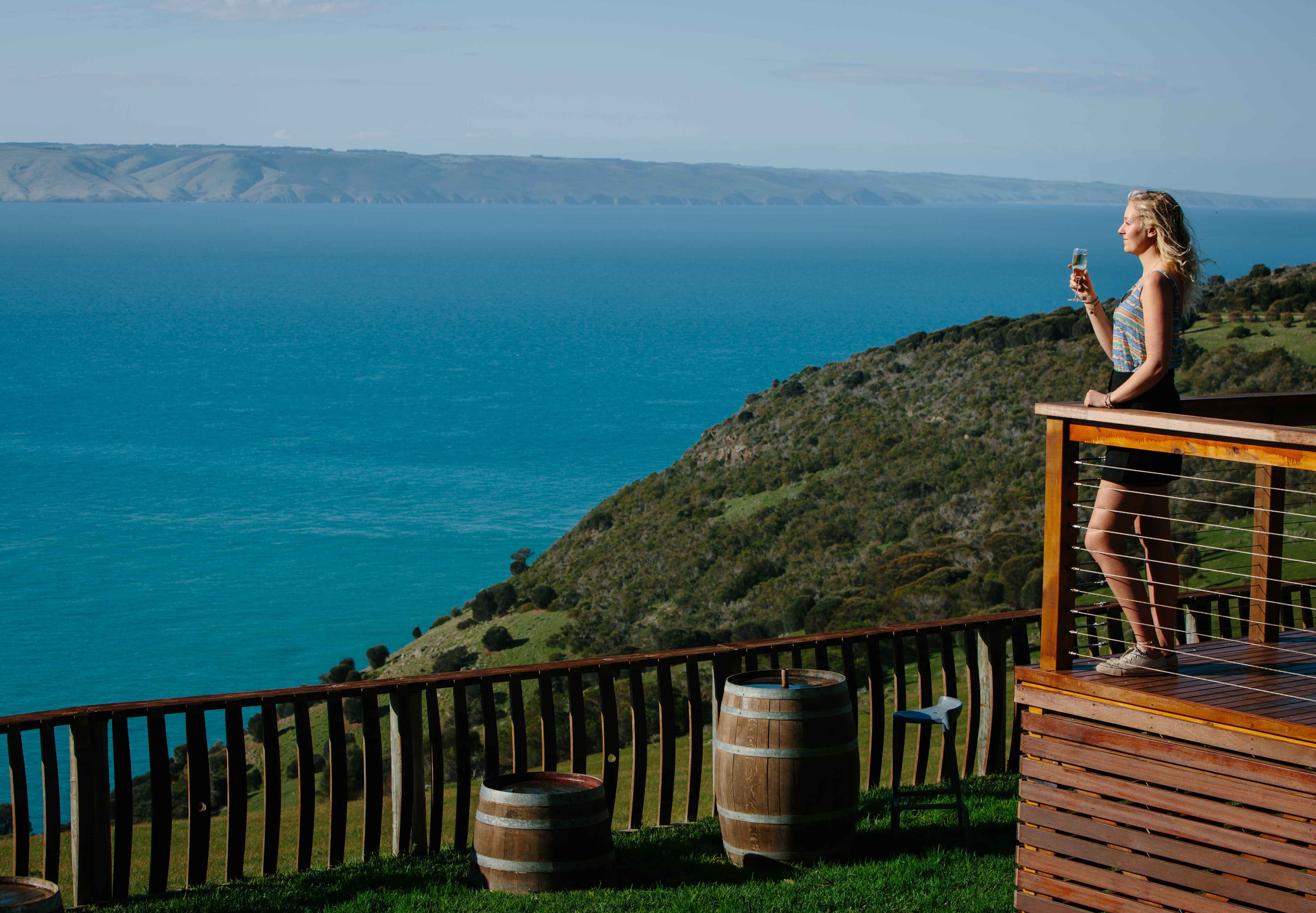 Dudley Wines