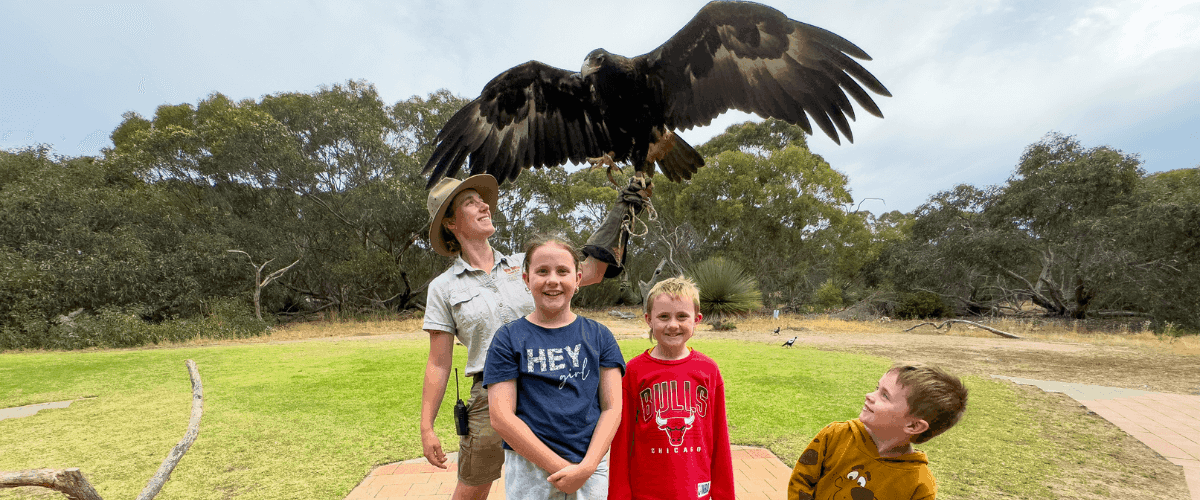 Kids and wedge tail eagle at the Raptor Domain