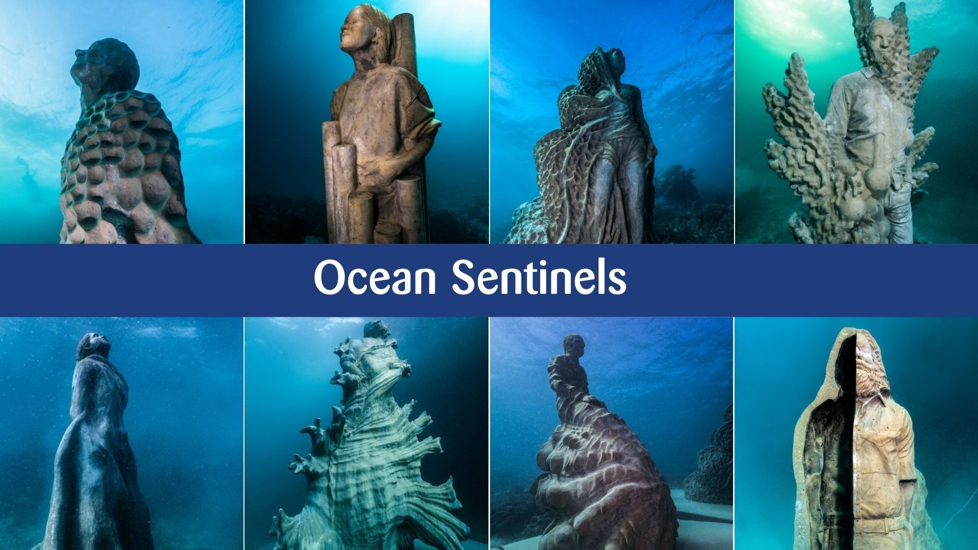 Ocean Sentinels