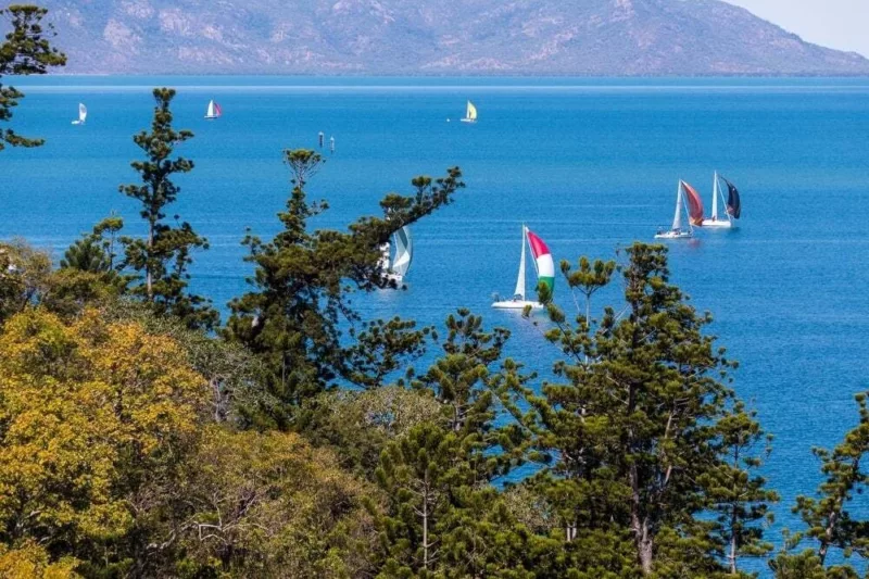 A row of yachts positioned on the shoreline, ready for the race.