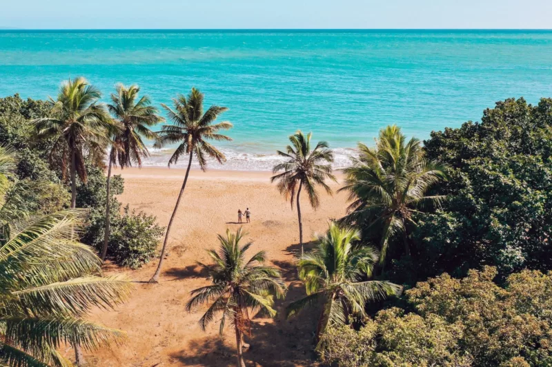 Radical Bay