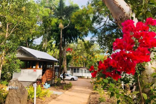 Dandaloo Gardens
