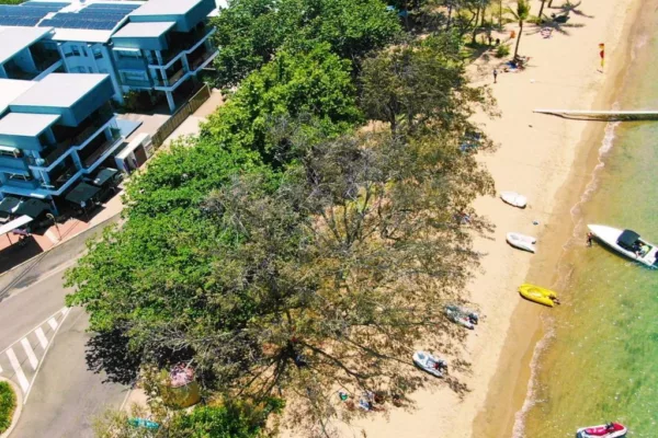 Maggies Beachfront Apartment 13