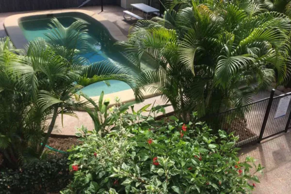 Tropical Palms Resort