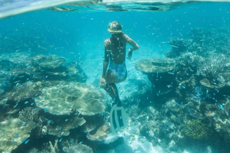 The Great Barrier Reef, Queensland