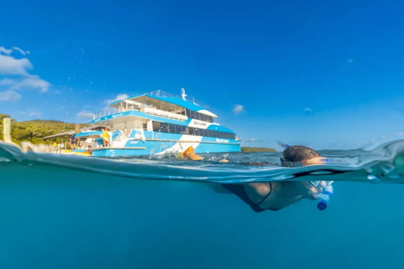 An underwater shot of a girl snorkelling as the SeaLink ferry is in the background
