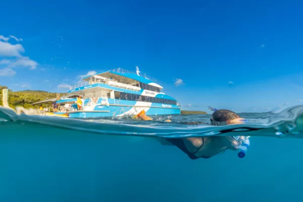 An underwater shot of a girl snorkelling as the SeaLink ferry is in the background