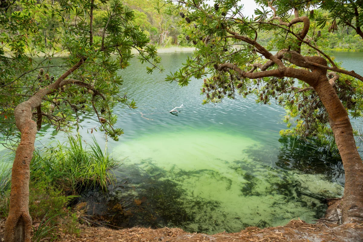 Blue Lake, THP Creative (royality free)