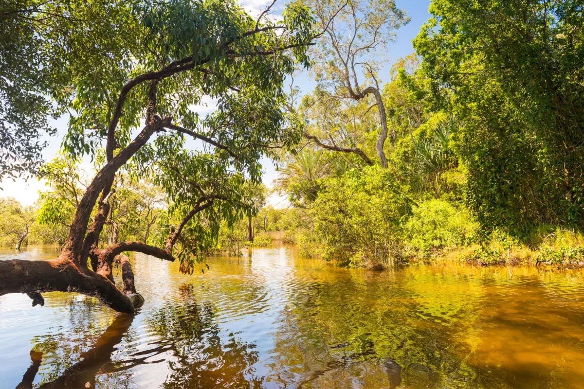 Myora Springs