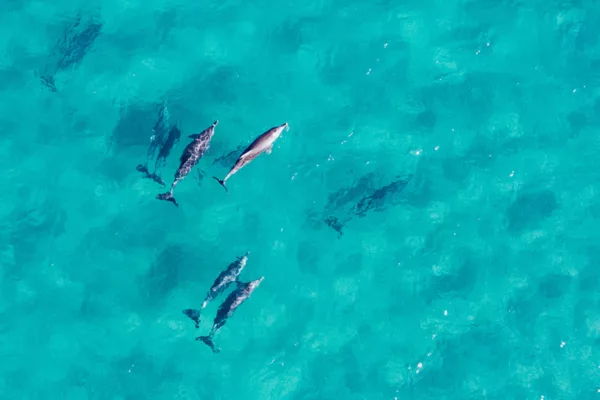 Keeping Straddie Special