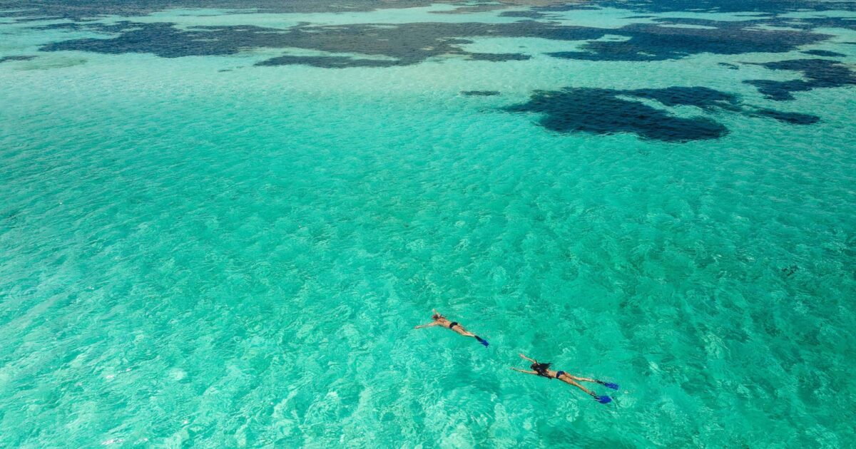 Top snorkelling spots on Rottnest Island SeaLink Rottnest Island