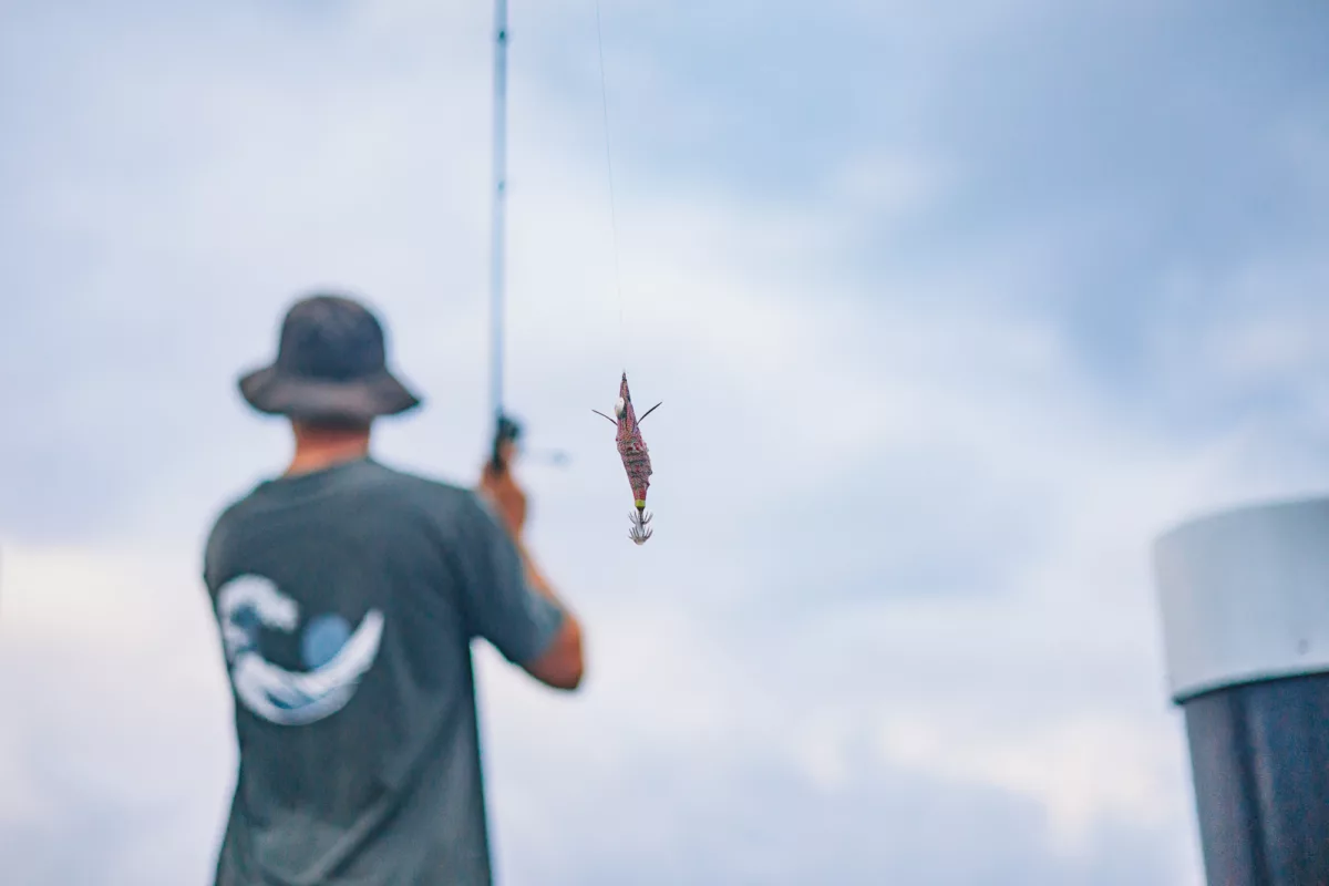 Your guide to fishing on Rottnest | SeaLink Rottnest Island