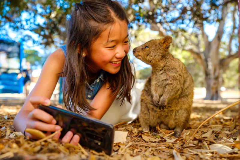 A little girl taking a selfie with a quokka on Rottnest Island