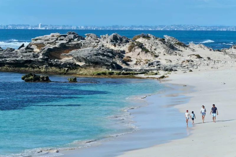 Longreach bay family