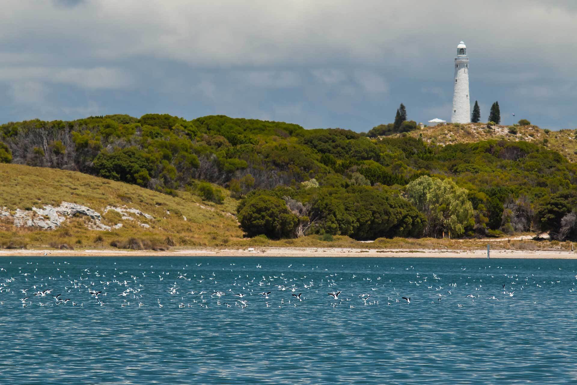 Extended stays | SeaLink Rottnest Island