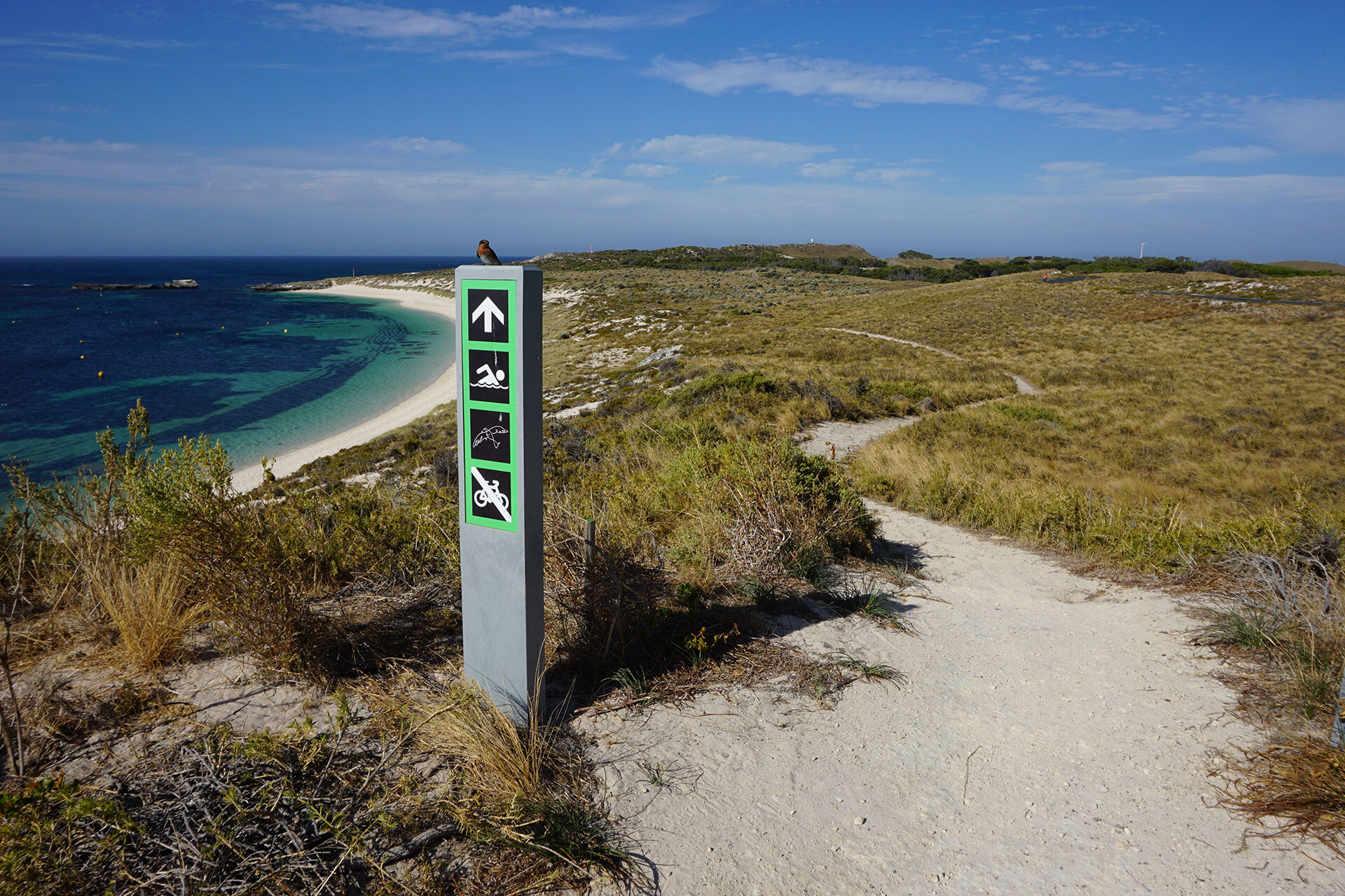 Here's your complete guide to hiking on… | SeaLink Rottnest Island