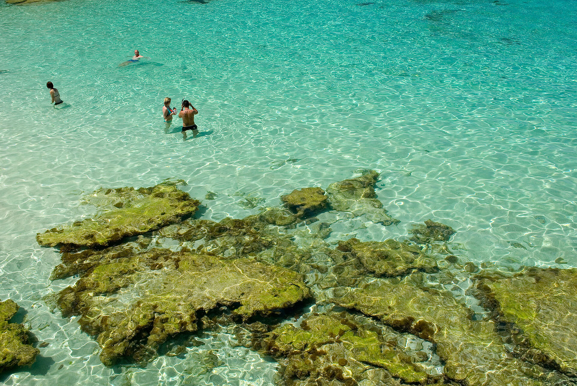Best things to do with kids | SeaLink Rottnest Island