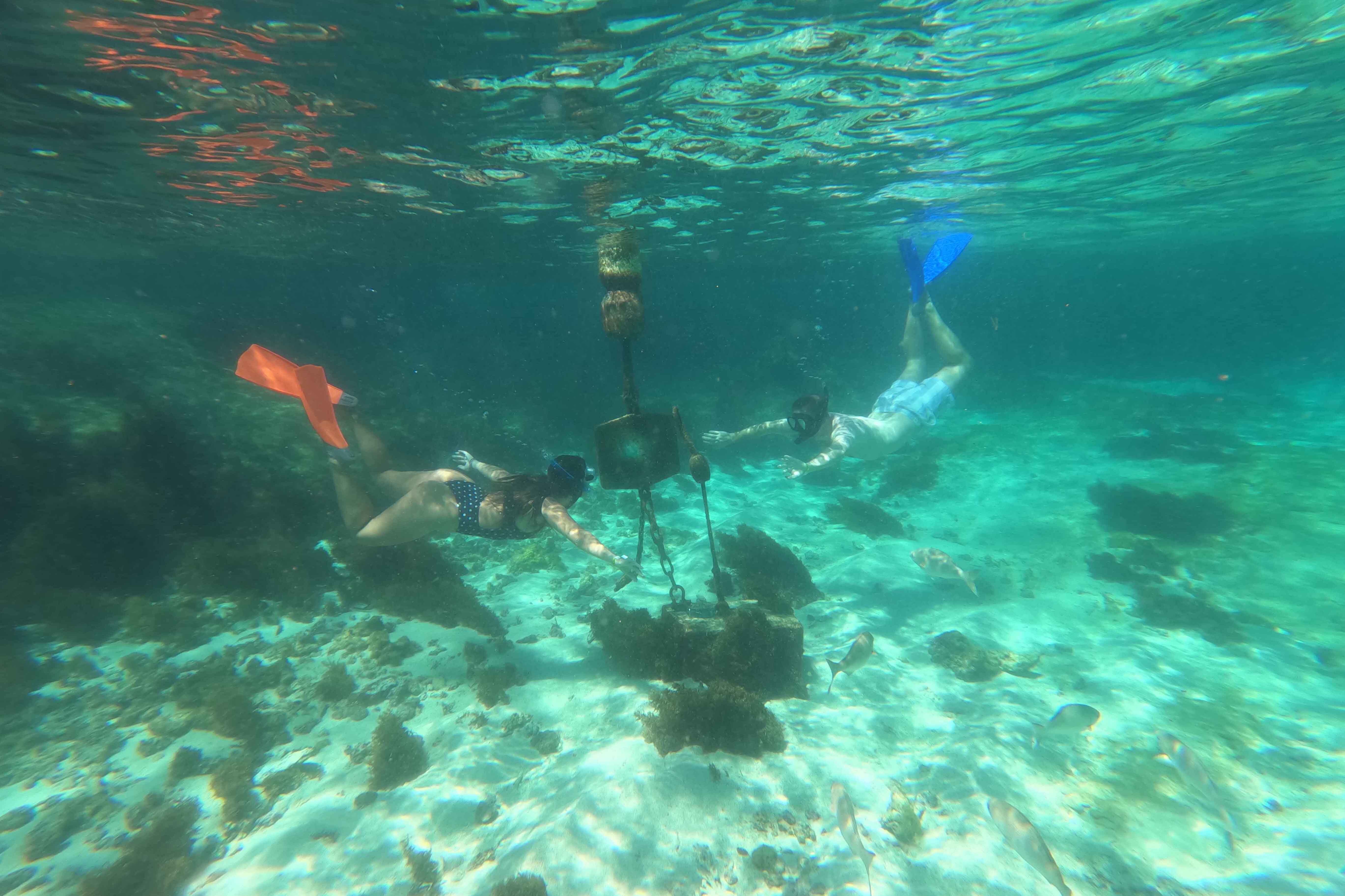 Little Salmon Bay snorkel trail