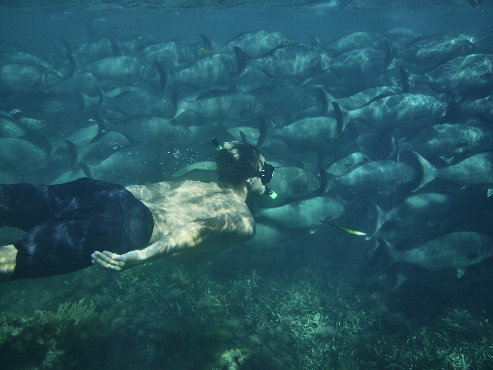 Snorkelling at Henrietta Rocks, Rottnest Island