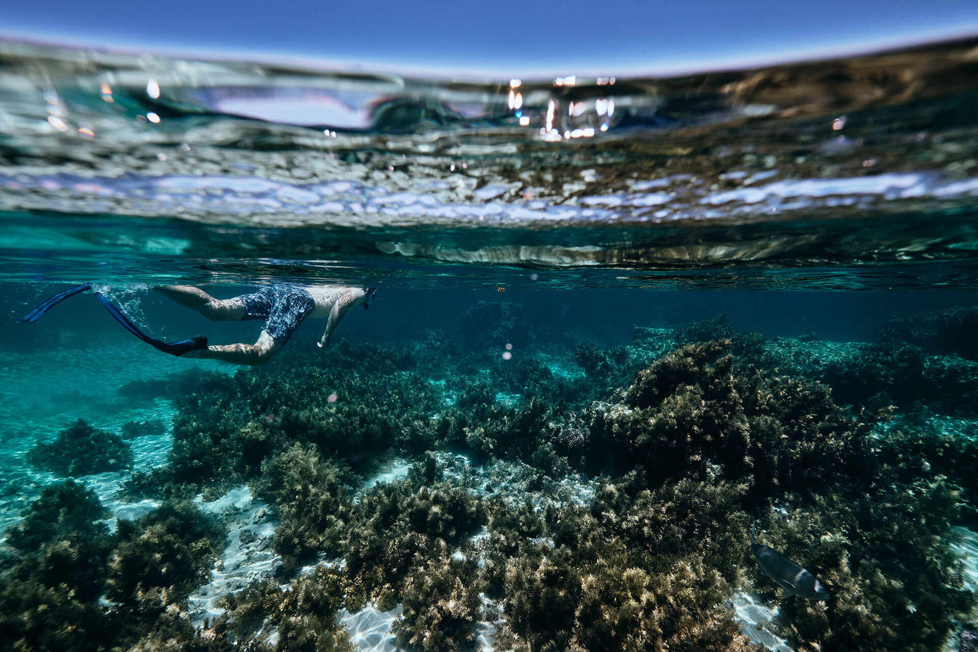 Snorkelling Rottnest Island
