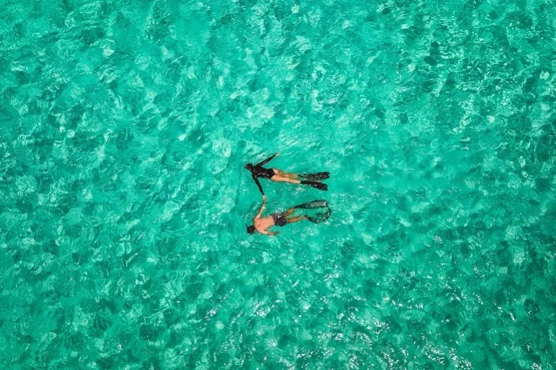 Things To Do On Rottnest Island SeaLink Rottnest Island things-to-do-on-rottnest-island-sealink-rottnest-island