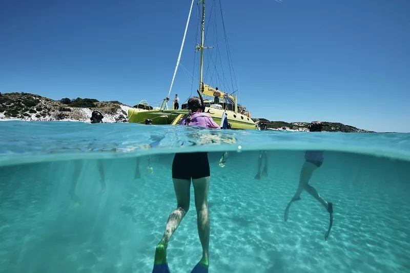 Group snorkelling at Rottnest Island