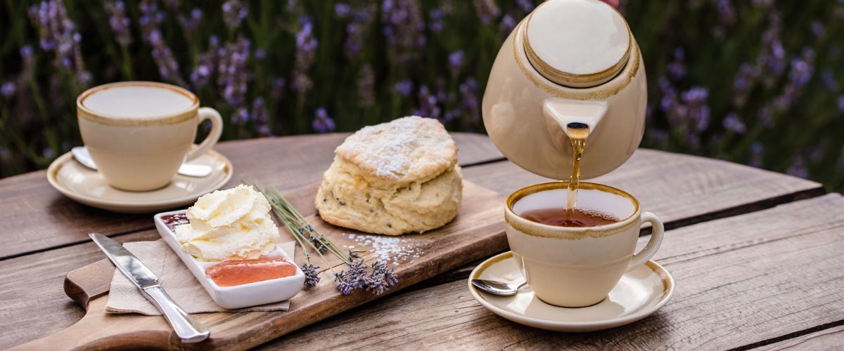 Scone and tea at Emu Bay Lavender Farm.
