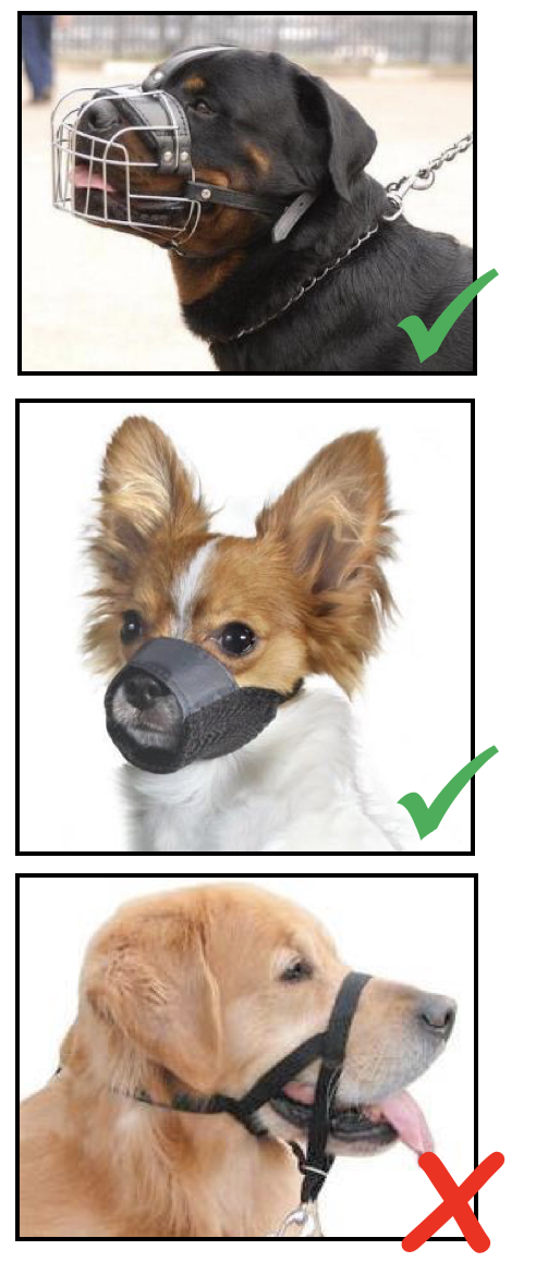 Dog muzzles examples