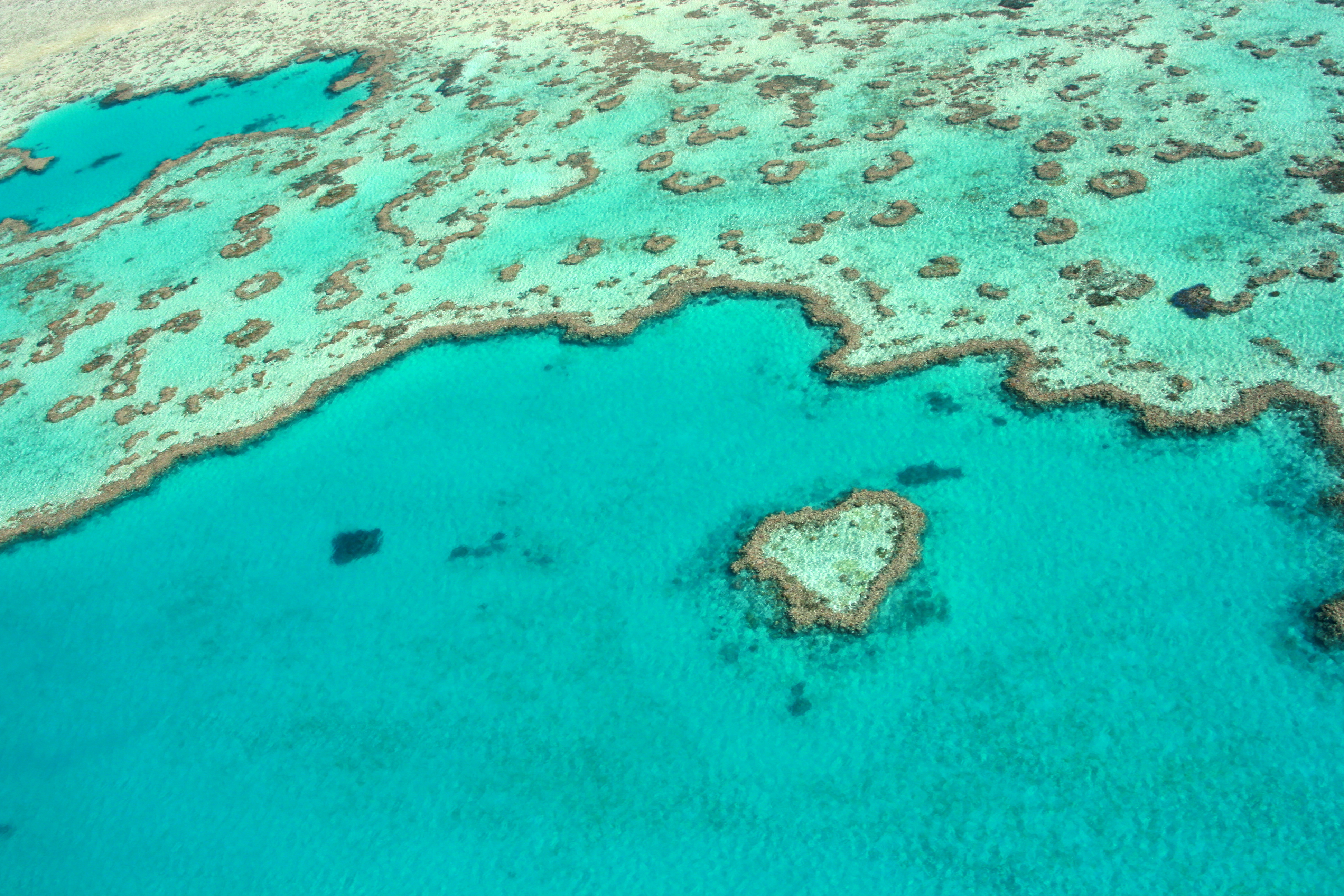 Heart Reef, Whitsundays