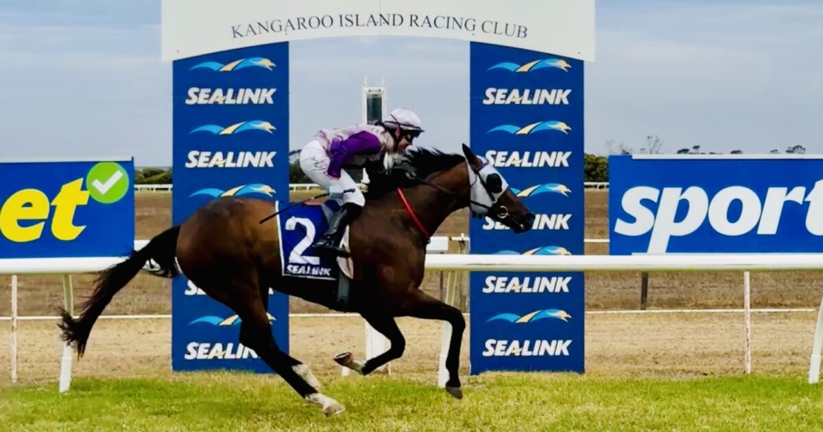 SeaLink celebrates 20 years supporting the KI Racing… | SeaLink