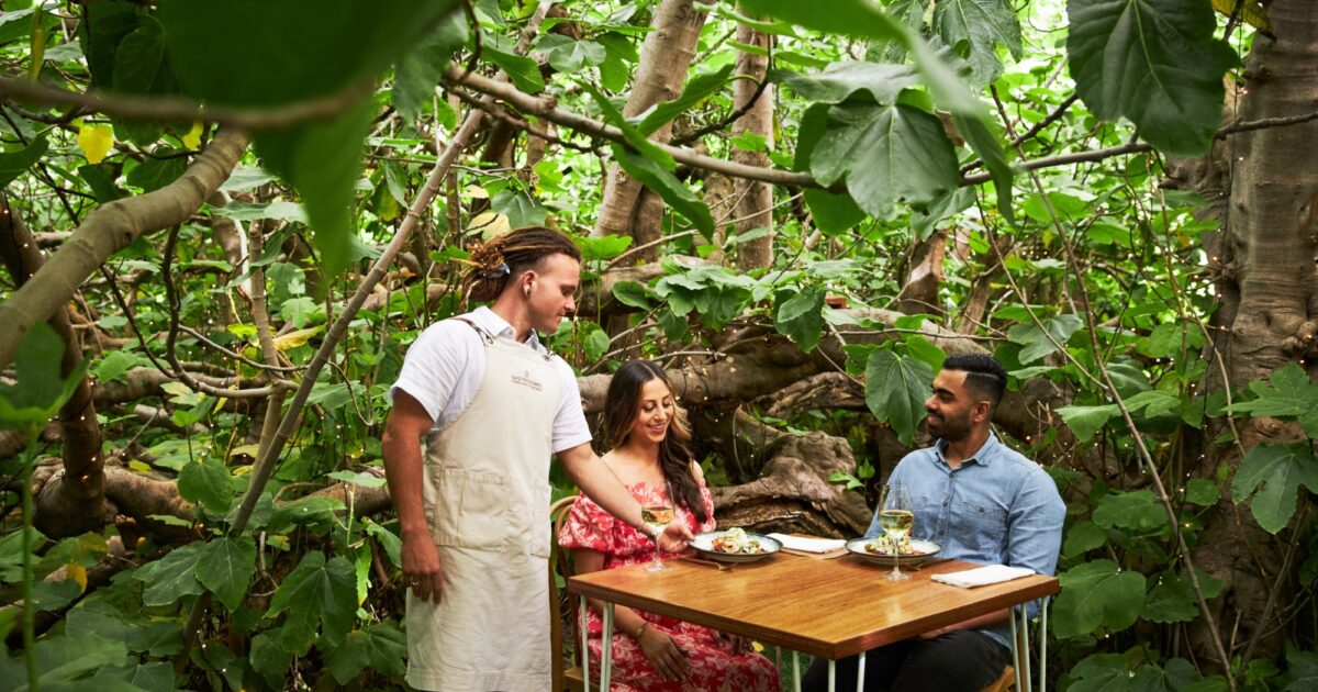 3Day KI Hideaway & The Enchanted Fig Tree… SeaLink Kangaroo Island