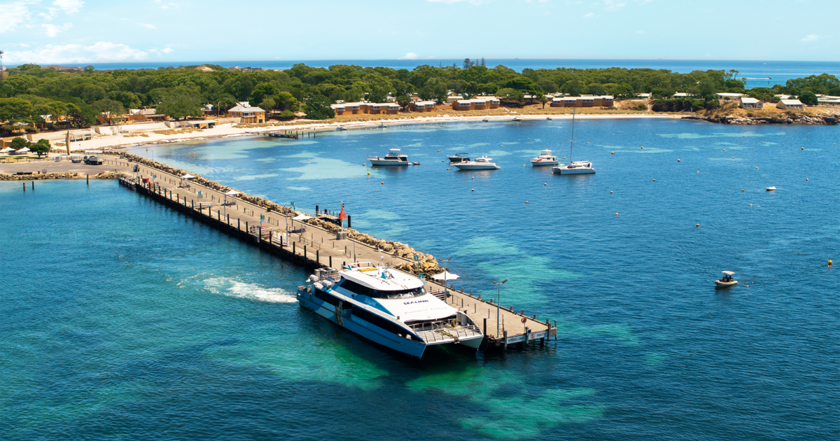 14 fun facts to know about Rottnest Island SeaLink Rottnest Island