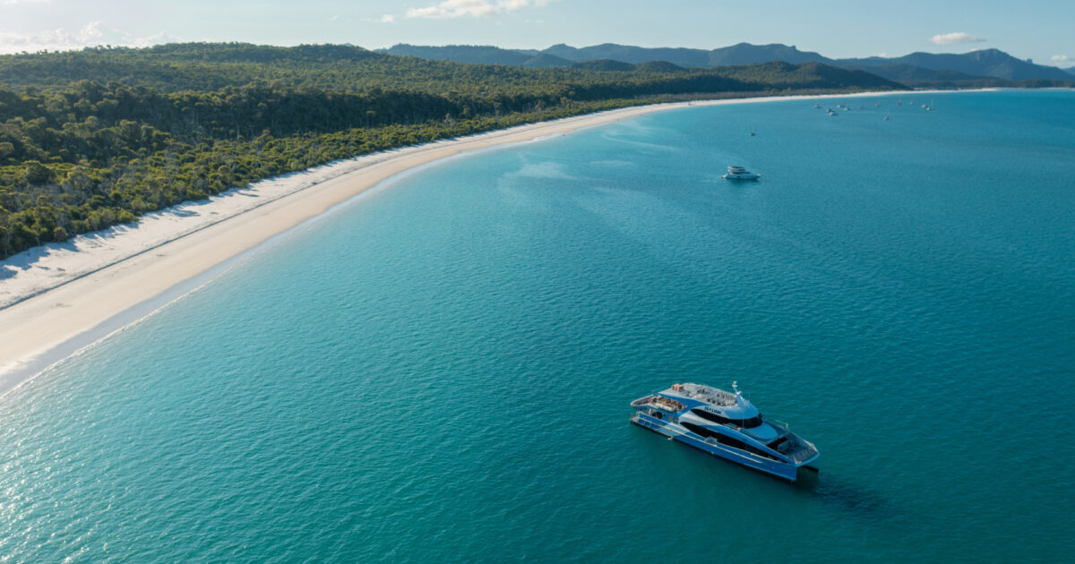 sealink whitsundays tours