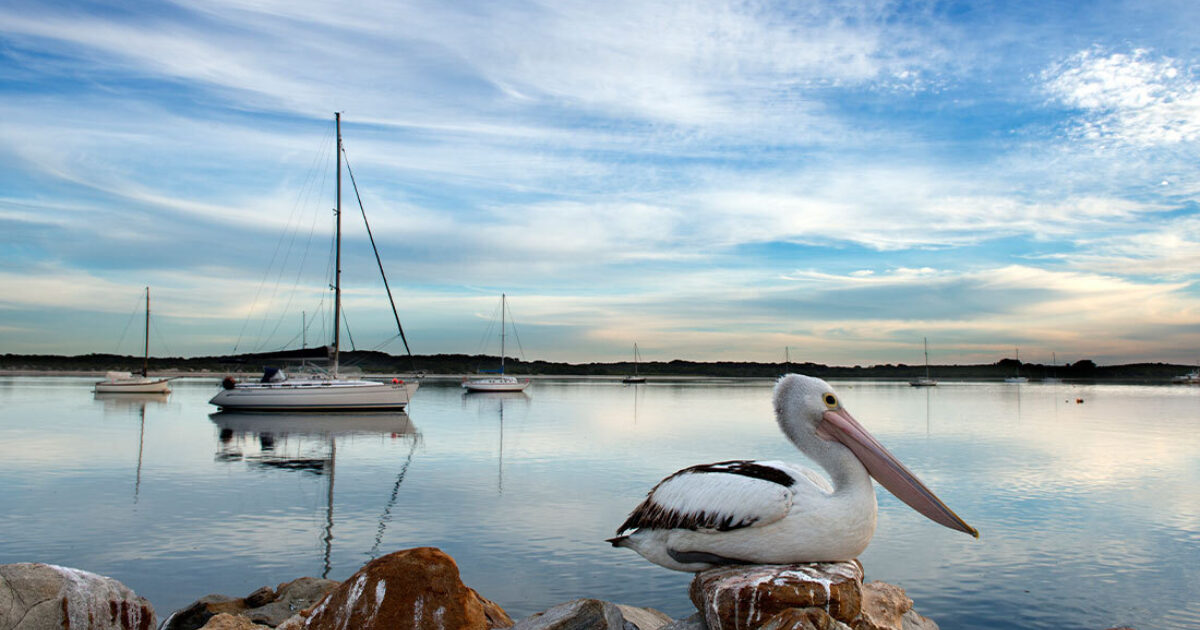 Best things to do in American River | SeaLink Kangaroo Island
