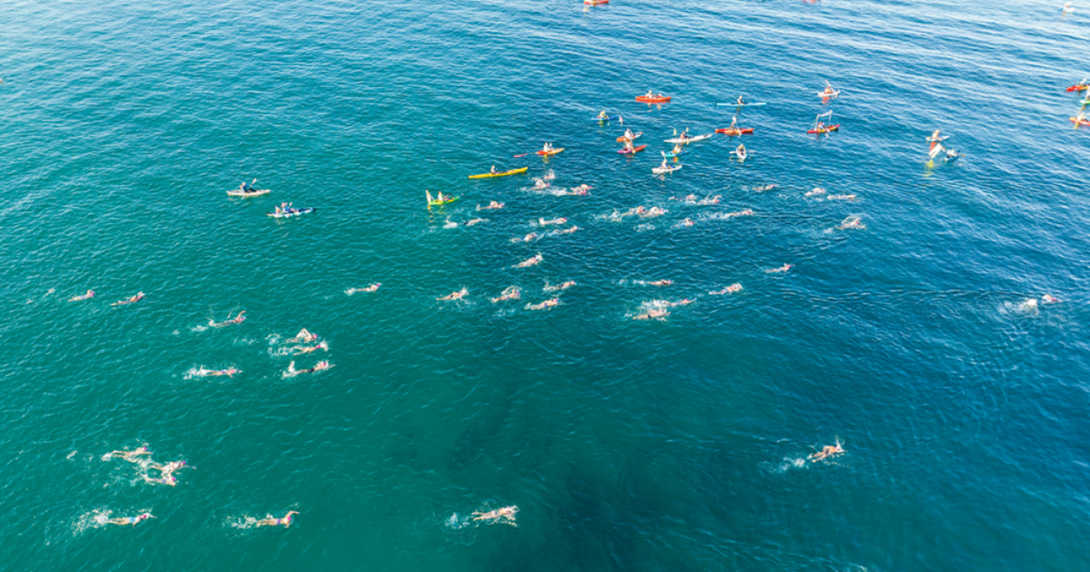Rottnest Channel Swim | SeaLink Rottnest Island