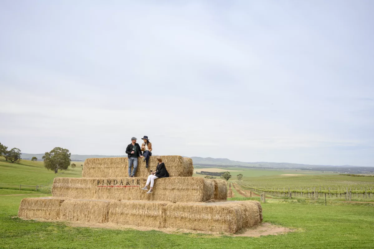Pindarie Wines, Barossa Valley