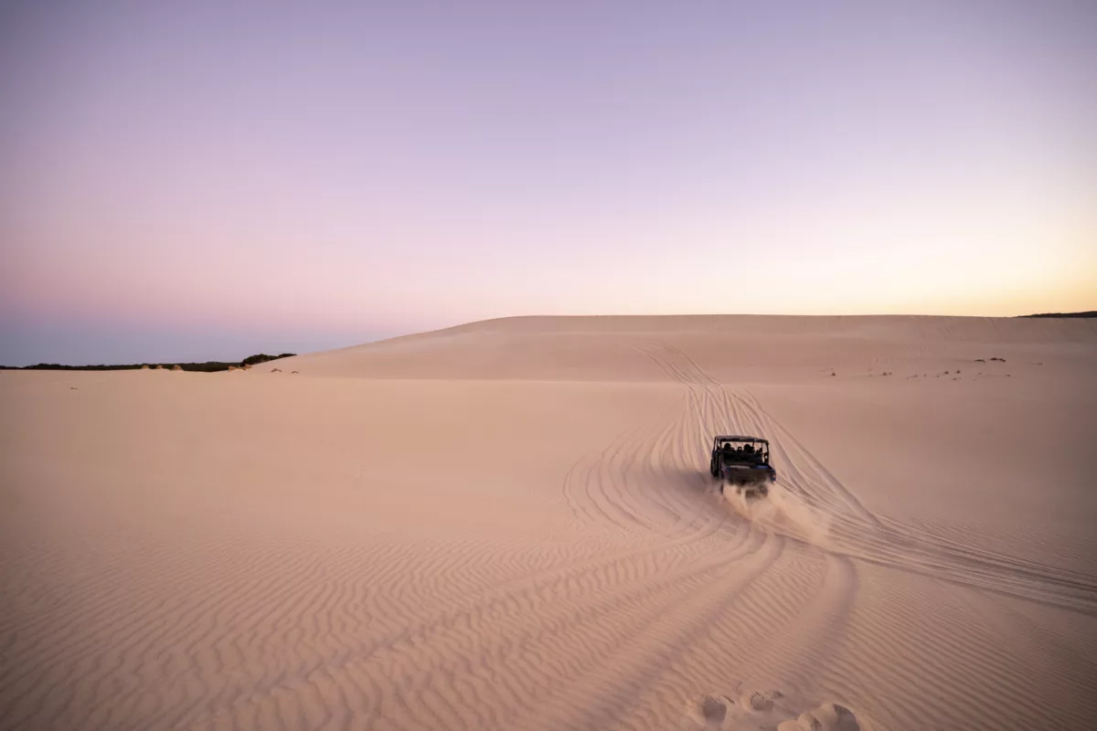 Buggy Tour