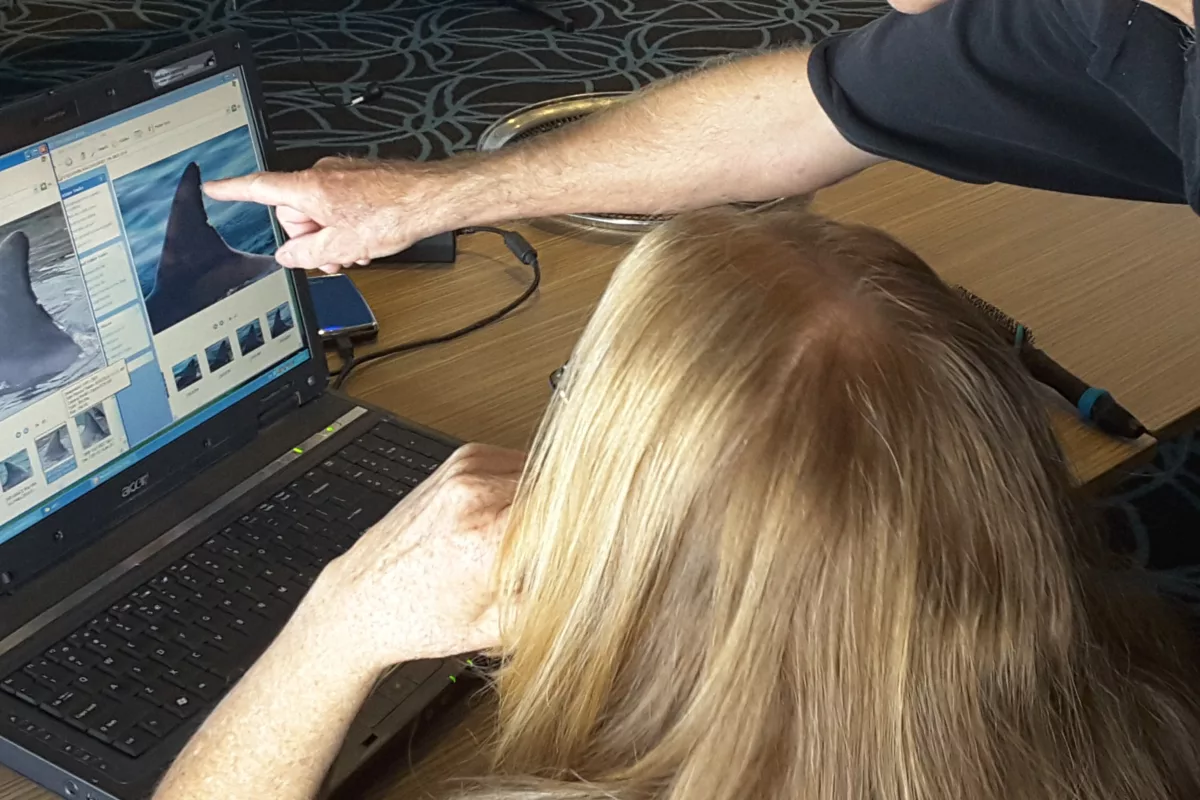 Data analysis workshop at Victor Harbor. Photo by Phyll Bartram