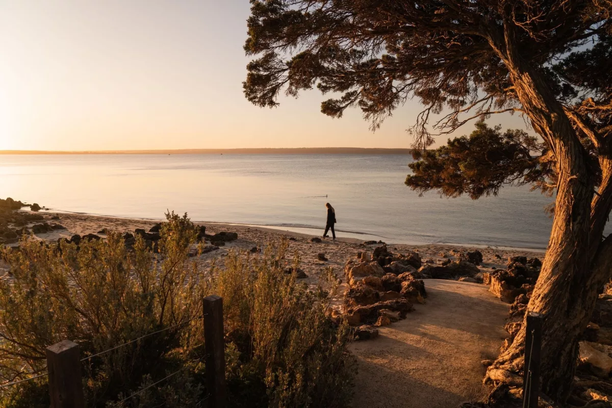 Brown Beach KI