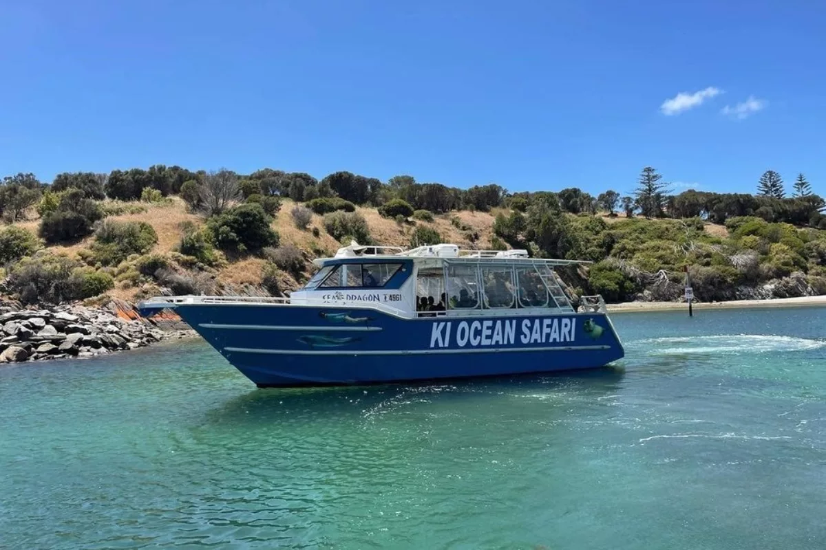 KI Ocean Safari