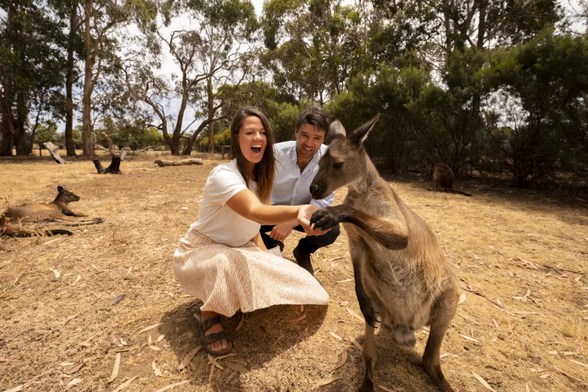 Kangaroo Island Wildlife Park