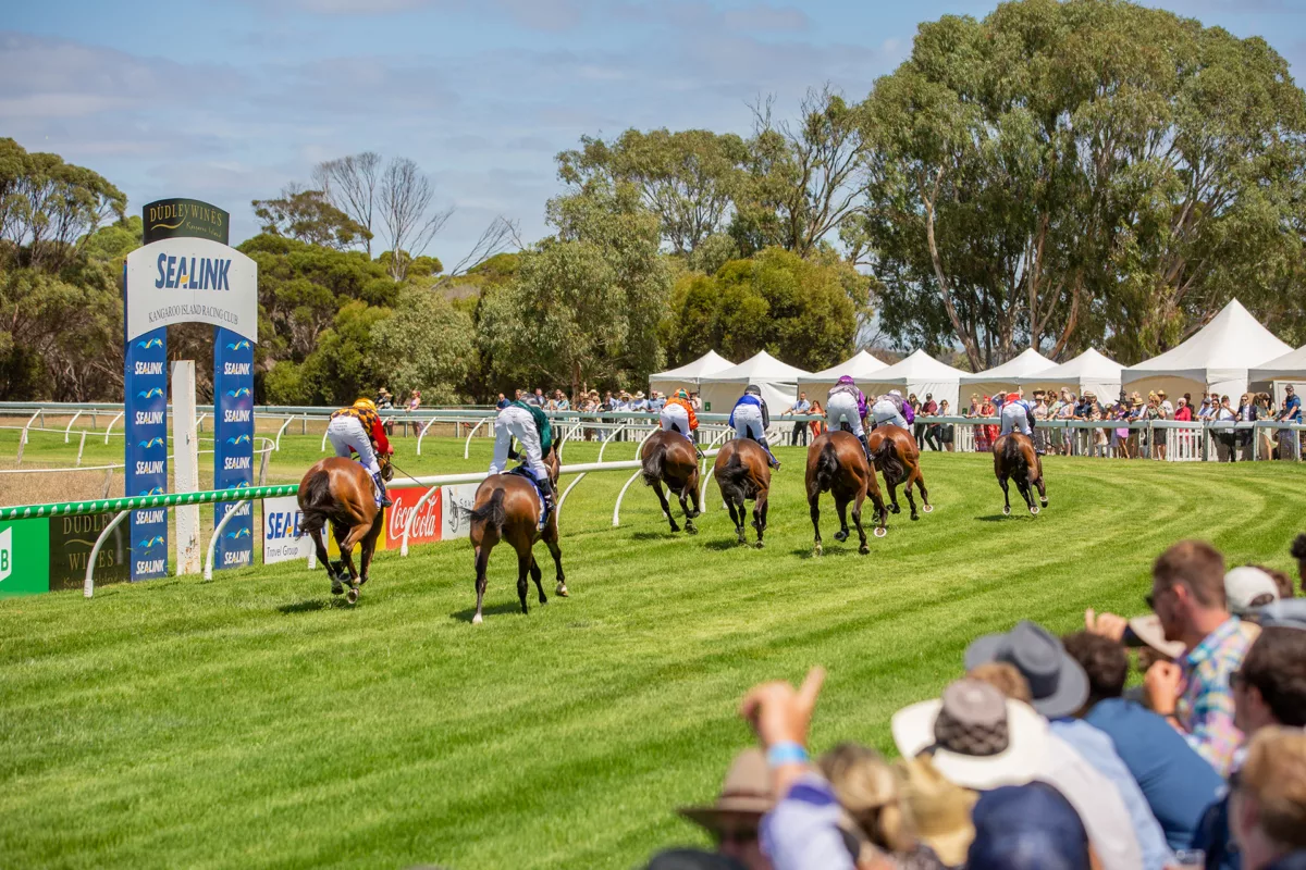 cygnet river race course